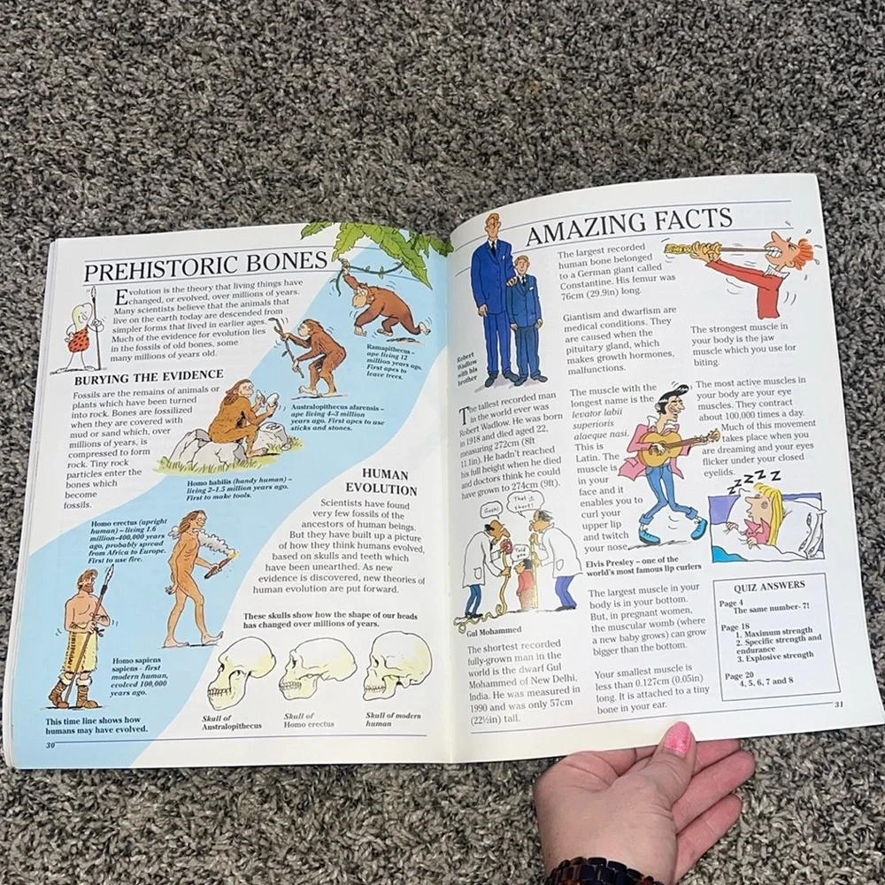 Science paperback science book understanding your muscles and bones educational